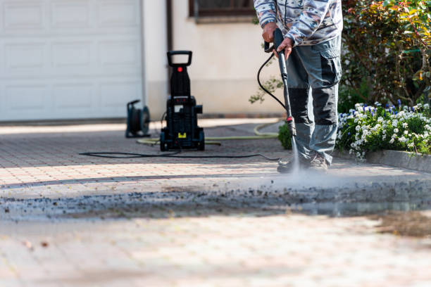 Best Pressure Washing Near Me  in Locust Grove, GA
